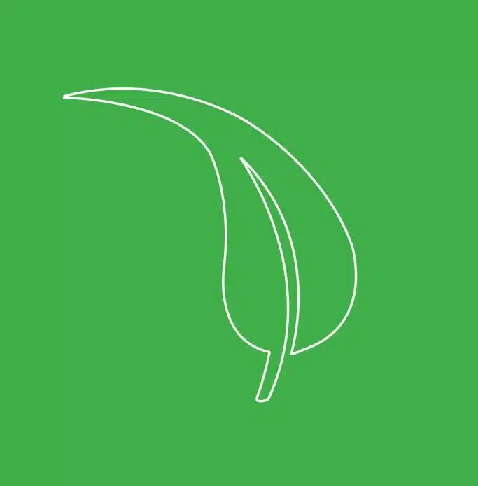 Heppelthwaite Green Building Solutions